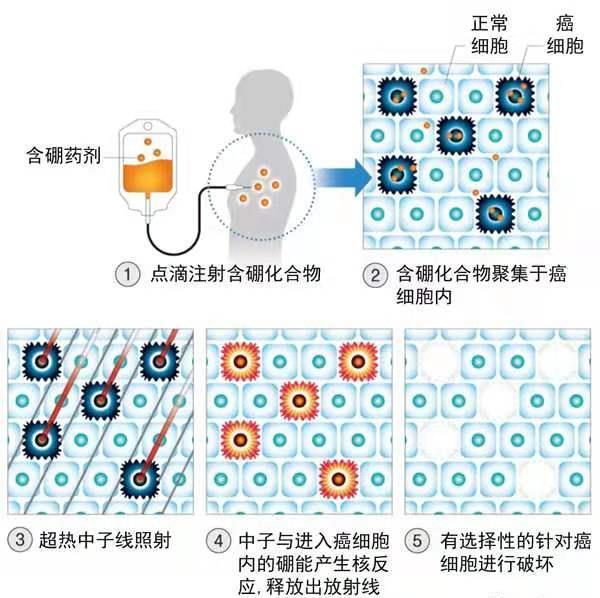 第1页-1.PNG